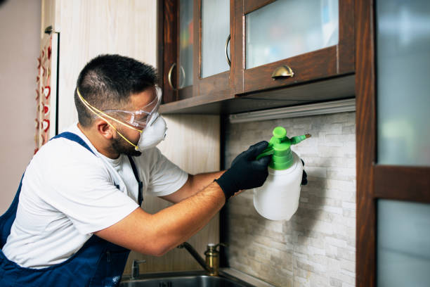 Professional Pest Control in Moriarty, NM