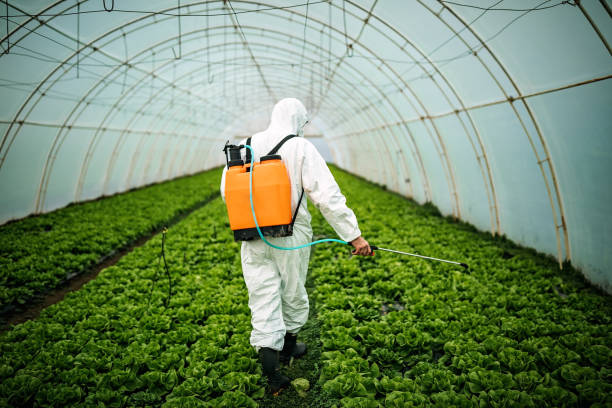 Pest Control for Restaurants in Moriarty, NM
