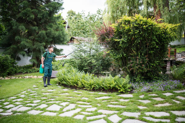 Best Affordable Pest Control Services  in Moriarty, NM