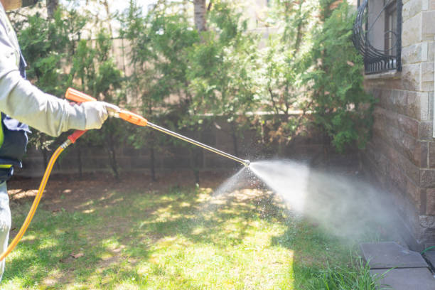 Best Termite Control Services  in Moriarty, NM
