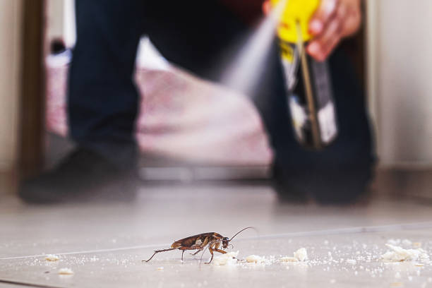 Best Residential Pest Control  in Moriarty, NM