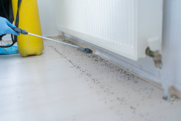 Best Pest Control for Homes  in Moriarty, NM